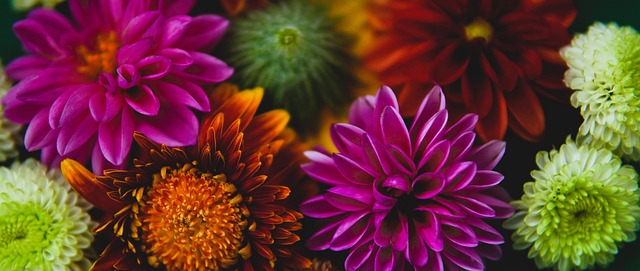 什琴斯尼哥哥：我弟更愿意坐板凳，需要他时再出场帮忙