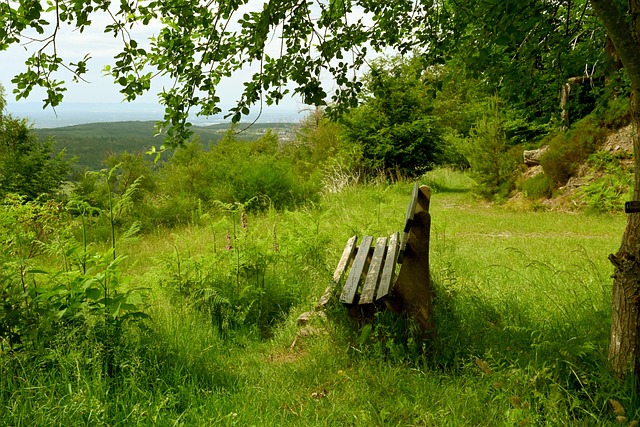 C罗实现了 C罗实现了