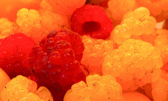 投向了他们 投向了他们