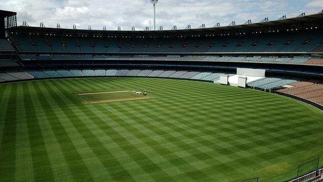 人体的生物 人体的生物