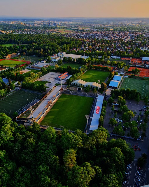 的参与和互 的参与和互