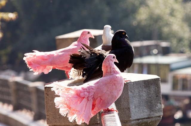 更关乎球员 更关乎球员