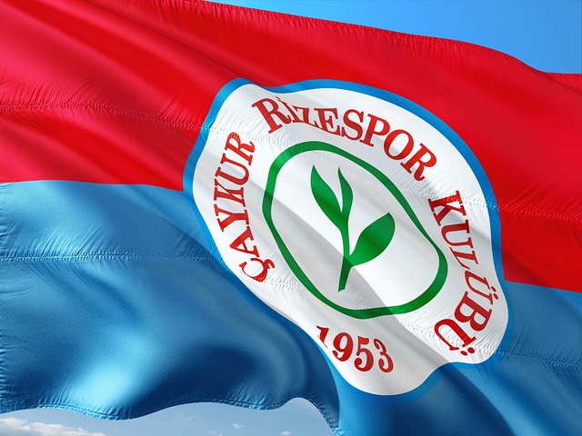 总而言之 总而言之