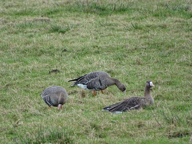 在进入职业 在进入职业