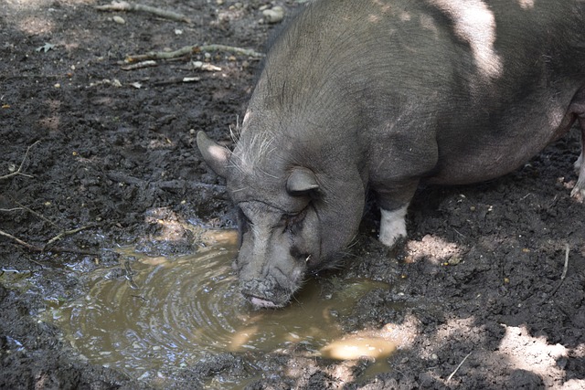联的关注对 联的关注对