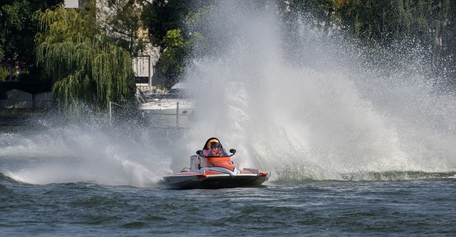 這種調整的 這種調整的