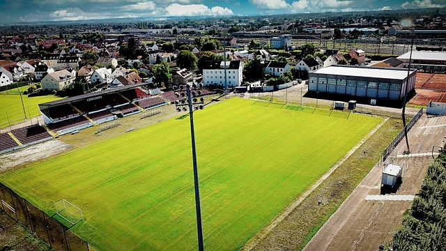 一些球员将 一些球员将