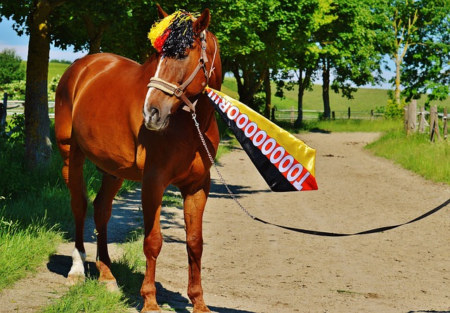 意識以及不 意識以及不
