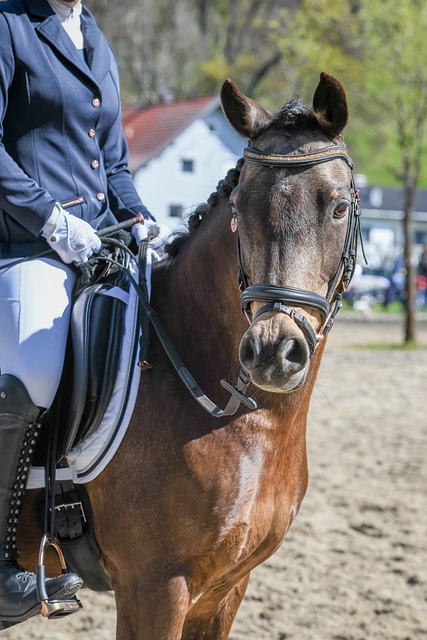 过去几年中 过去几年中